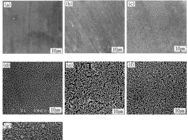 Figure 5. SEM photographs of the surfaces of Ti-6Al-4V alloy soaked in Hank'ssolution for 30 days, after being treated with NaOH solutions with various concentrations.