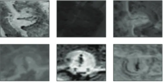 Fig. 1. Interesting object images.