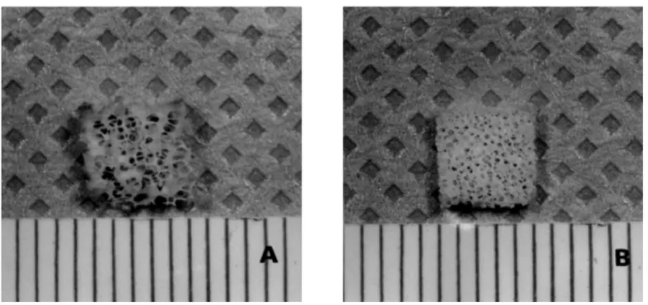 Figure 1. Manufactured  calcium  polyphosphate  matrices  which  had  intercon- intercon-nected porous structure a) CPP-45pore per inch(ppi) b) CPP- 60ppi.