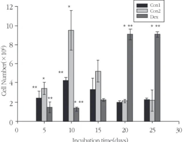 Figure 2. Time-response effect of Dex on ALP activity of MC3T3-E1 cells cultured for 5, 10, 15, 20, 25 days.