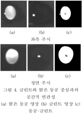 Fig 4. glints and the center of the pupil with the spatial relevance