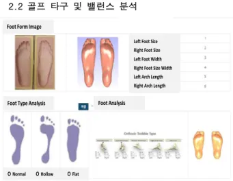 Fig.  3.  Foot  Form  Basic  Analysis  Display