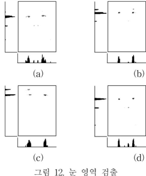 그림 11. CMY 칼라모델 중 C 공간 Fig. 11. C space of CMY color model