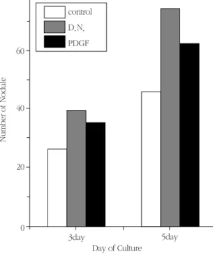 그림 7 The  effect  of  Drynariae  Rhizoma  on  the  nodule of formation
