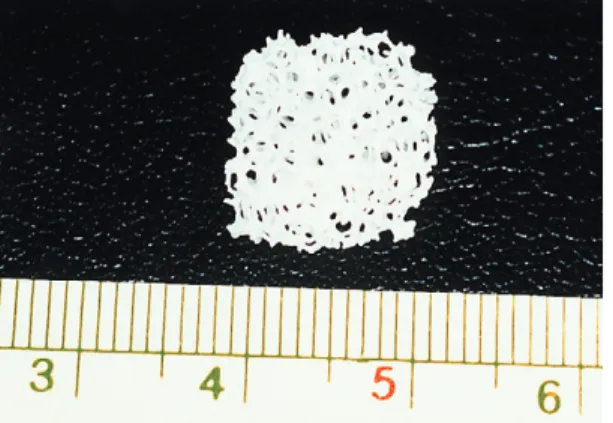 Figure 3. CMP group after 4 weeks of healing rabbit cal- cal-varial defect. Figure illustrates the whole defect.