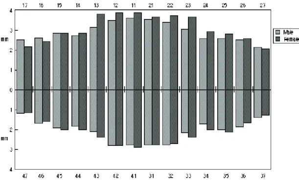 그림 3 The comparison of the width of attached gingiva in each sex group