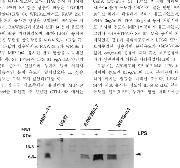 그림 1 Induction of MIP-1αsecretion from monocyte/macrophage cell lines by LPS stimulation