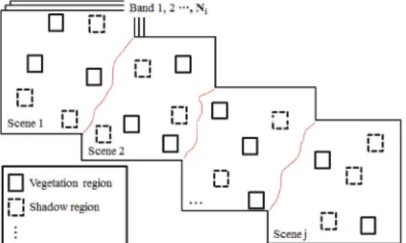 Fig. 2. Region selected for Mosaic quality evaluation.