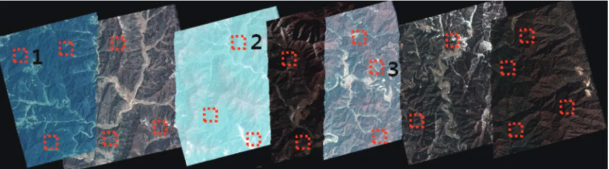 Fig. 4.  Masking of vegetation regions at Mosaic image.