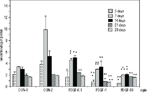 그림 2 Dose-response  effect  of  0.1,  1,  10  ng/ml  of  Platelet-Derived  Growth  factor  on  alkaline  phosphatase  activity  by MC3T3-E1 cells cultured for 3, 7, 14, 21, 28 days