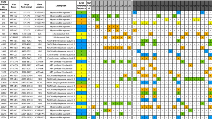 Figure 1. Results of part of chip array. Mitochondrial alterations with different frequencies between two groups are shown