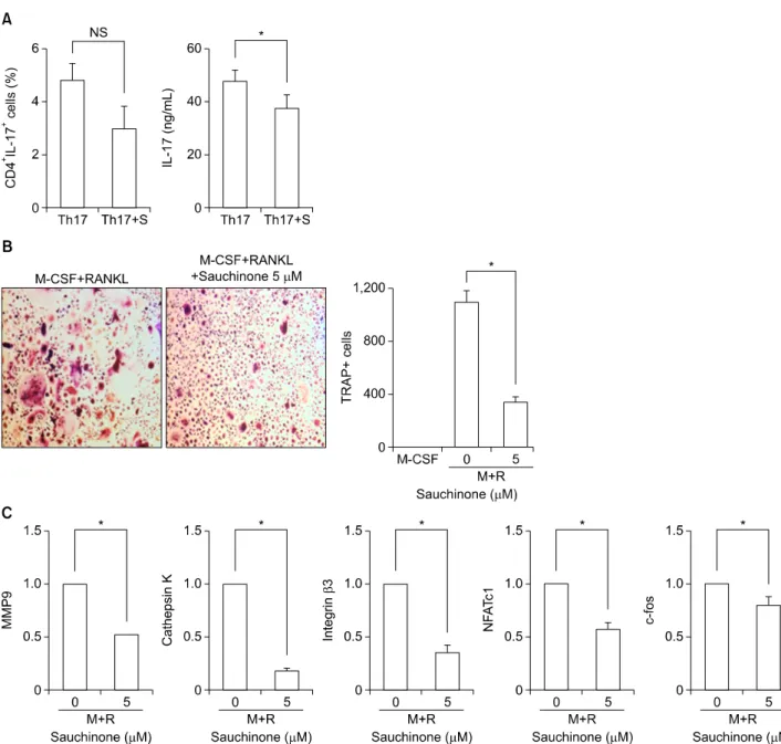 Figure 5. Saucinone regulates Th17 differentiation and osteoclastogenesis in human mononuclear cells
