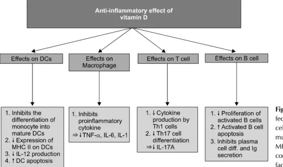 Figure 2. Anti-inflammatory ef- ef-fect of vitamin D. DC: dendritic  cell, diff.: differentiation, Ig:  im-munoglobulin, IL: interleukin,  MHC: major histocompatibility  complex, TNF-α: tumor necrosis factor-α.