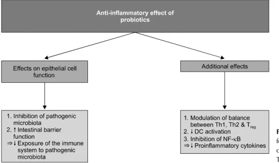 Figure 3. Anti-inflammatory ef- ef-fect of probiotics. DC: dendritic  cell, NF-κB: nuclear factor-κB,  T reg : regulatory T cells.