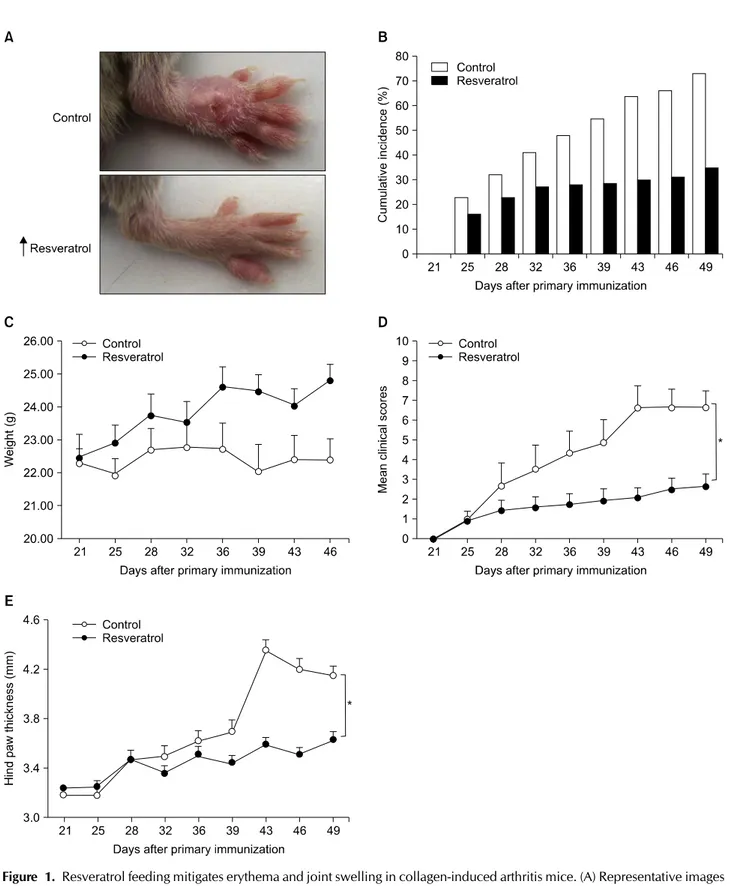 Figure 1. Resveratrol feeding mitigates erythema and joint swelling in collagen-induced arthritis mice