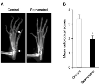 Figure 2. Resveratrol feeding suppresses bone destruction in  collagen-induced arthritis (CIA)