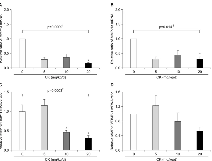 Figure 7. Effects of compound K (CK) on matrix metalloproteinase (MMP)-3 and MMP-13 mRNA expression in the hind feet of ther- ther-apeutic models