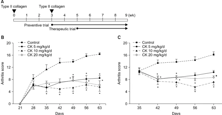 Figure 1. The effect of compound K (CK) on collagen-induced arthritis (CIA) disease activity