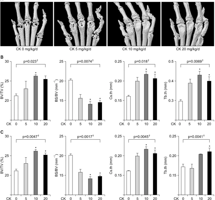 Figure 3. Microarchitectural analysis using micro-computed tomography (micro-CT) in therapeutic models (n=4 in each group,  respectively)