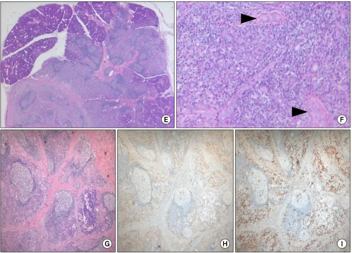 Figure 2. Continued.