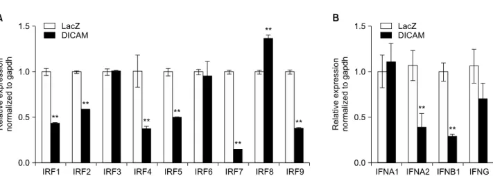 Figure 4. DICAM-mediated  inhibition  of  IRFs  and  type  I  interferon  system.  The  microarray  data  is  validated  with  real-time  RT-PCR  analysis
