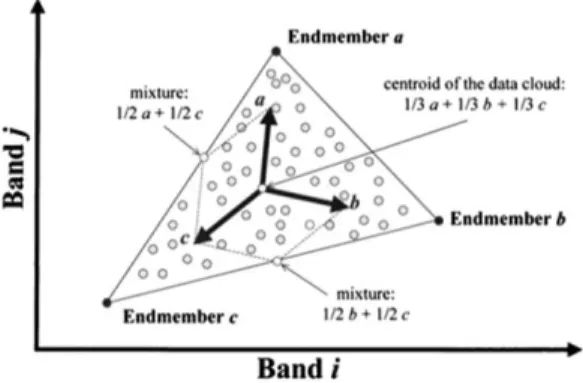 Fig. 1.  A schematic scattergram of hyperspectral image data shows the concept of endmembers and linear spectral unmixing (Plaza et al., 2002).