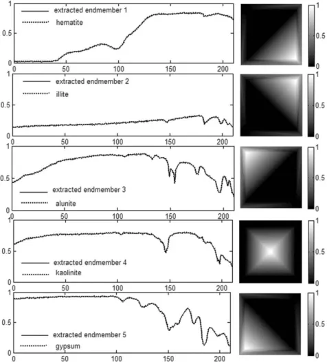 Fig. 5.  Extracted extreme pixels (endmember candidate pixels).