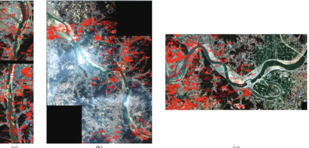Fig. 8.  Target  point  for comparison in panchromatic images;
