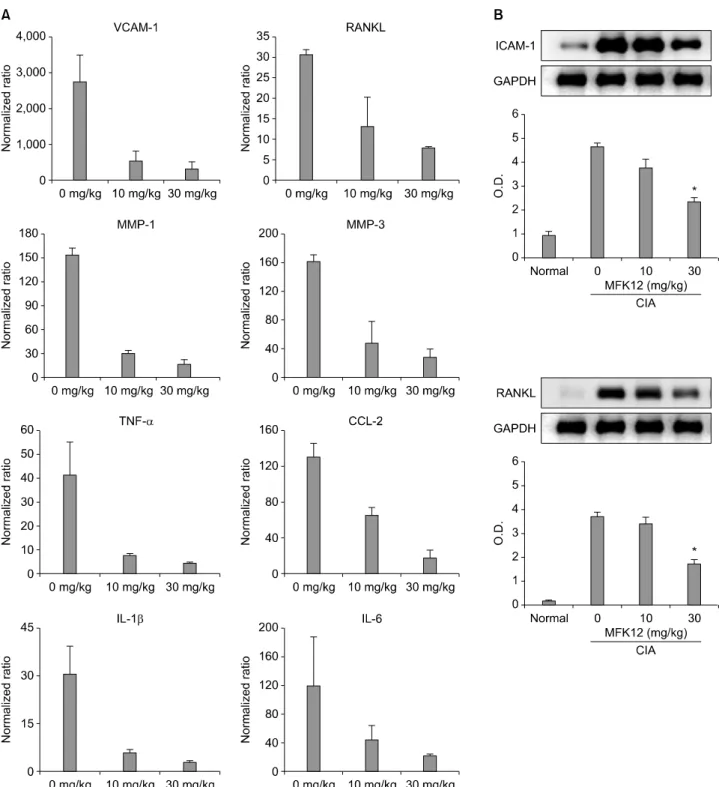 Figure 5. Effect  of  MFK12  treatment  on  the  expression  of  inflammatory  mediators  in  CIA  mice
