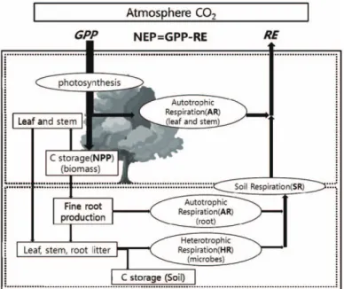 Fig. 1.  Digrams of carbon cycle in a forest ecosystem. Net ecosystem production (NEP) are determined by the difference between gross primary production (GPP) and ecosystem respiration (RE), RE is a sum of respiration of plant (AR) and soil microbes (HR)(M