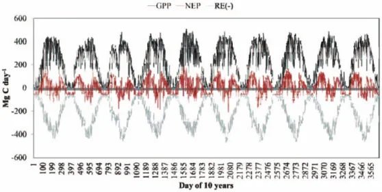 Fig. 5.  Daily variation of estimated GPP, NEP, and RE(-) during the period 1999-2008.