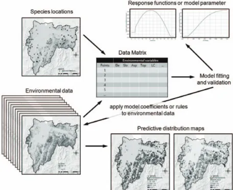 Fig. 1.  The steps in species distribution modeling and predictive mapping (Frank, 2009, modified).