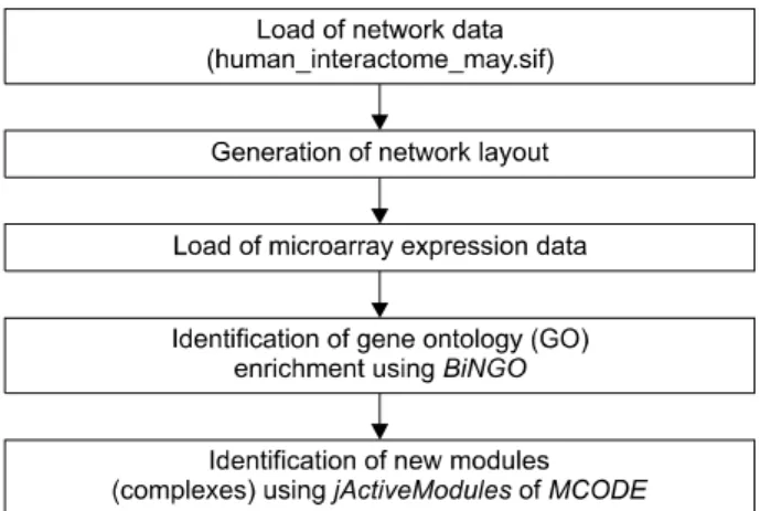 Figure 1. Overview  of  the  bioinformatic  analysis  using  cytoscape.