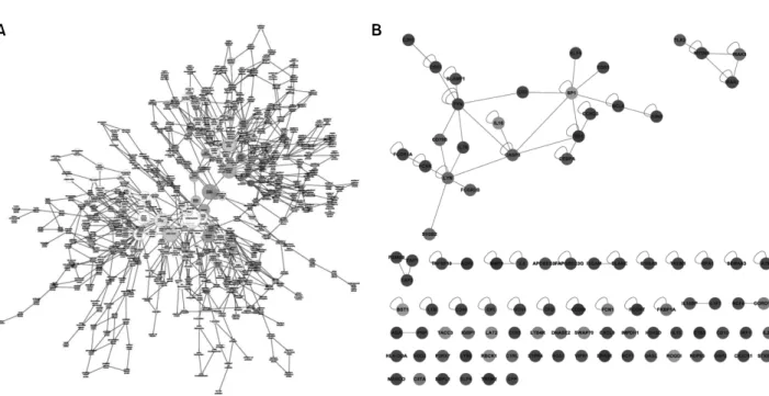 Figure 3.  (A)  Map  of  the  biological  processes  associated  with  RA  synovial  macrophages