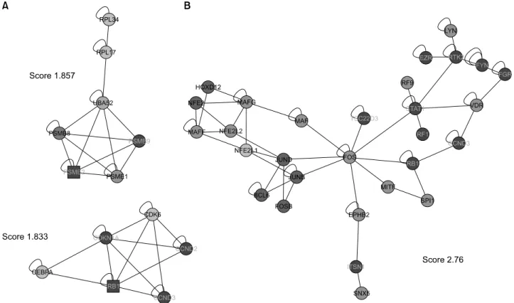 Figure 5. (A)  Detection  of  densely  connected  regions  in  the  network  of  genes  differentially  expressed  in  the  RA  synovial  macrophages  and  the  PB  monocyte-derived  macrophages  from  healthy  volunteer  using  MCODE