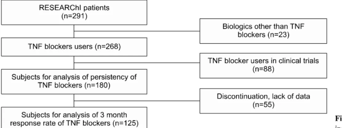 Figure 1. Flow  chart  of  patients  included  in  the  analysis.