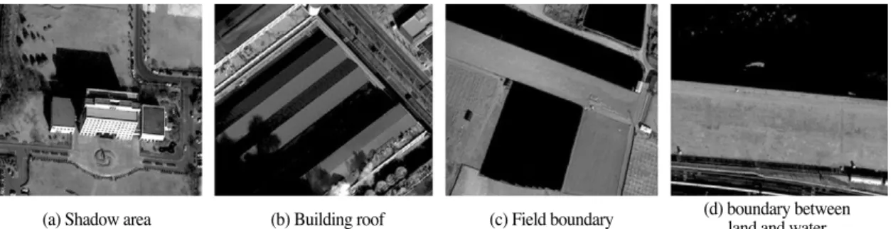 Fig. 3.  Examples of natural targets for the ESF estimation.