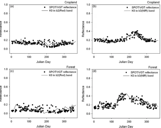 Fig. 5.  The scatter plot of time series of measured reflectance from 1 January to 31 December 2006; line is K 0