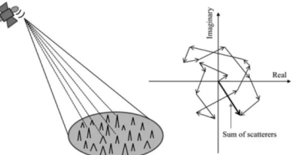 Fig. 1.  Speckle formation (Lee and Pottier, 2009, p. 102).