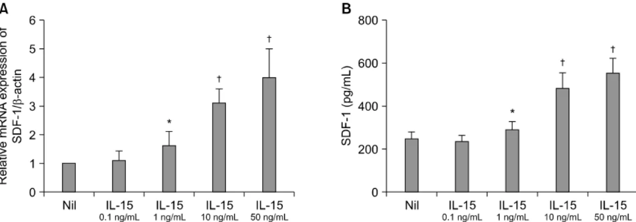 Fig. 3. The  productions  of  SDF-1  from  the  RA  FLS  stimulated  with  IL-15  and  IL-17  were  determined  by  ELISA