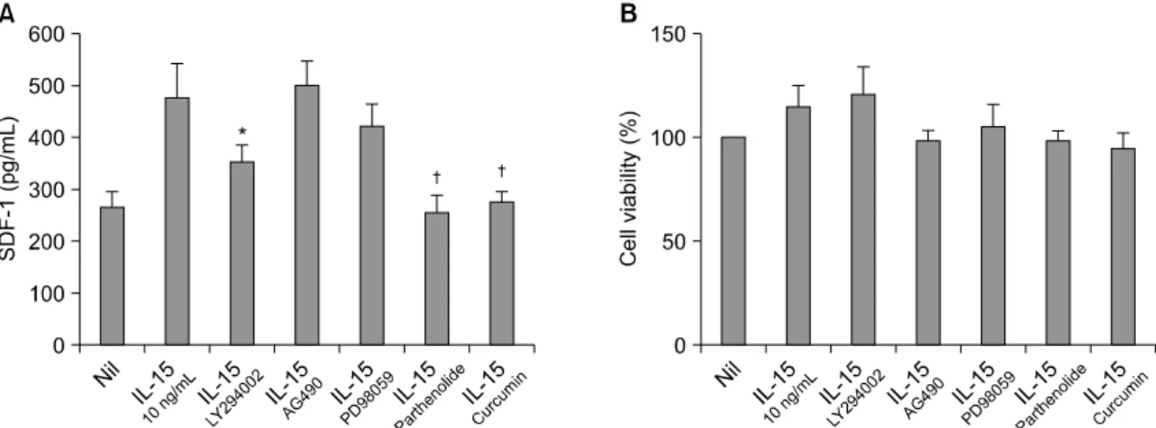 Fig. 4. (A)  The  IL-15  induced  increase  of  SDF-1  was  blocked  by  the  inhibitors  of  PI3-kinase,  NF-κB  and  AP-1