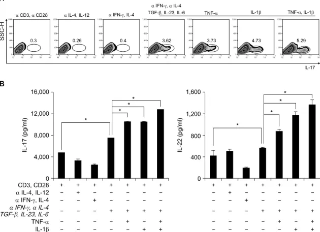 Fig. 1. Th17  cell  differentiation  in  human  CD4 ＋   T  cells.  (A)  Flow  cytometry  of  intracellular  human  IL-17  producing  CD4 ＋   T  cells  from  peripheral  blood