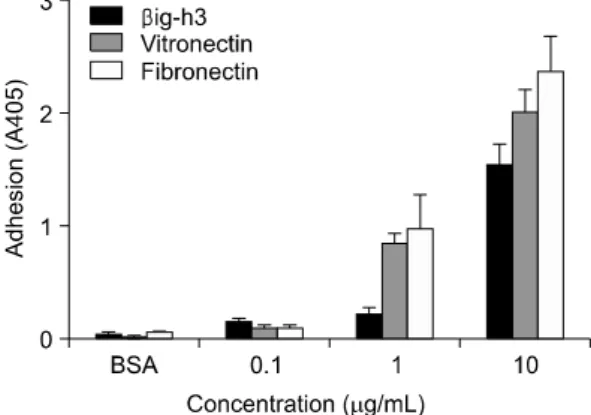 Fig.  1.  Comparison  of  βig-h3,  vitronectin,  and  fibronectin  in  adhesion  of  human  FLS