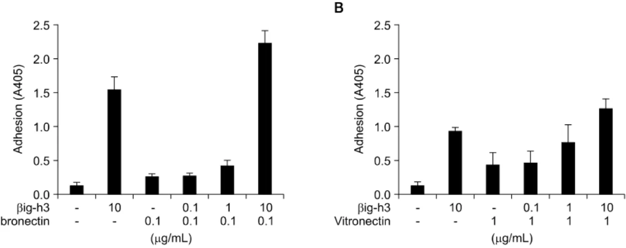 Fig.  3.  Compensatory  role  of  βig-h3  with  matrix  proteins  in  mediating  adhesion  of  FLS