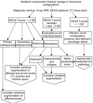 Table 2. Algorithm  of  treatment  in  osteoporotic  compre- compre-ssion  fracture  (13)
