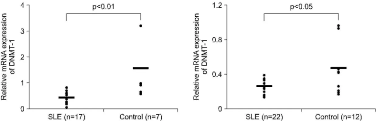 Fig. 1. Structure and the exprssion of DNMT-1 mRNA level on CD4 T cell. (A) Structure of DNMT-1.