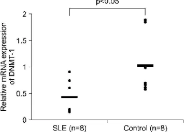 Fig. 4. The exprssion of DNMT-1 mRNA level by 17 β- estradiol on CD19 B cell and CD4 T cell of healthy controls and SLE patients