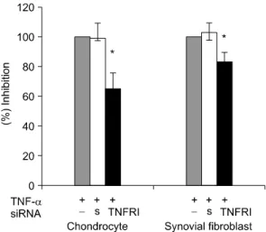 Fig.  4.  Inhibition  of  MMP-1  secretion  induced  with  TNF- TNF-α  by  TNFRI  siRNA