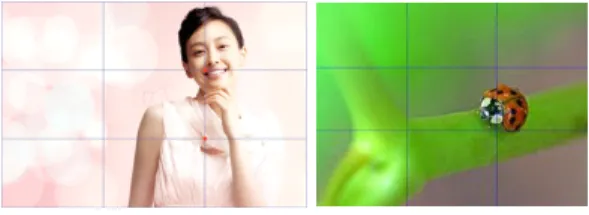 그림 3. 3등 분할 적용 사진 예시.