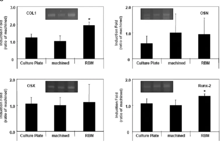 Fig. 4. Effect of surface roughness on the osteoblastic differentiation of MG-63 cells